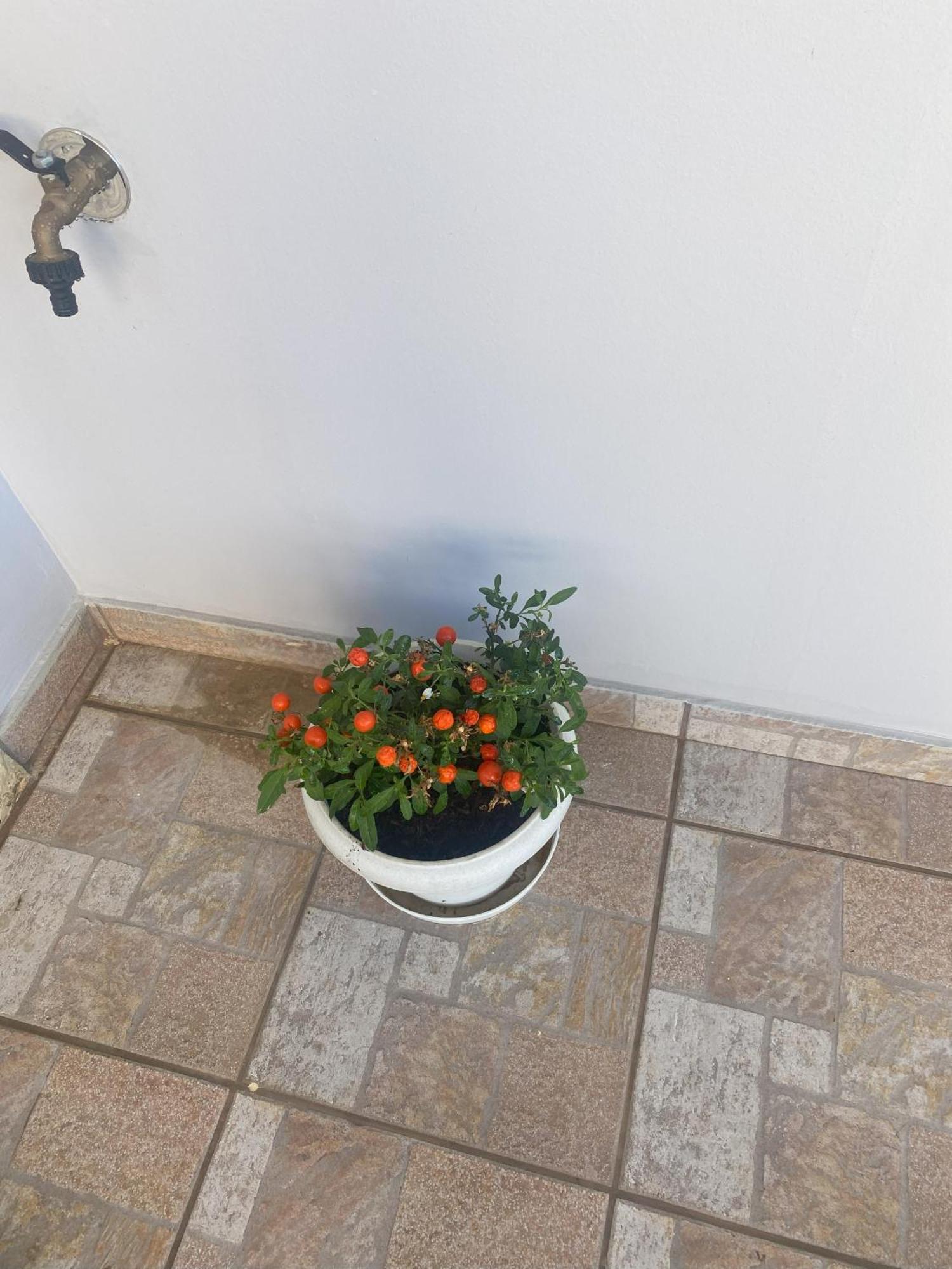 New Unique Apartment In Heraklion Kültér fotó