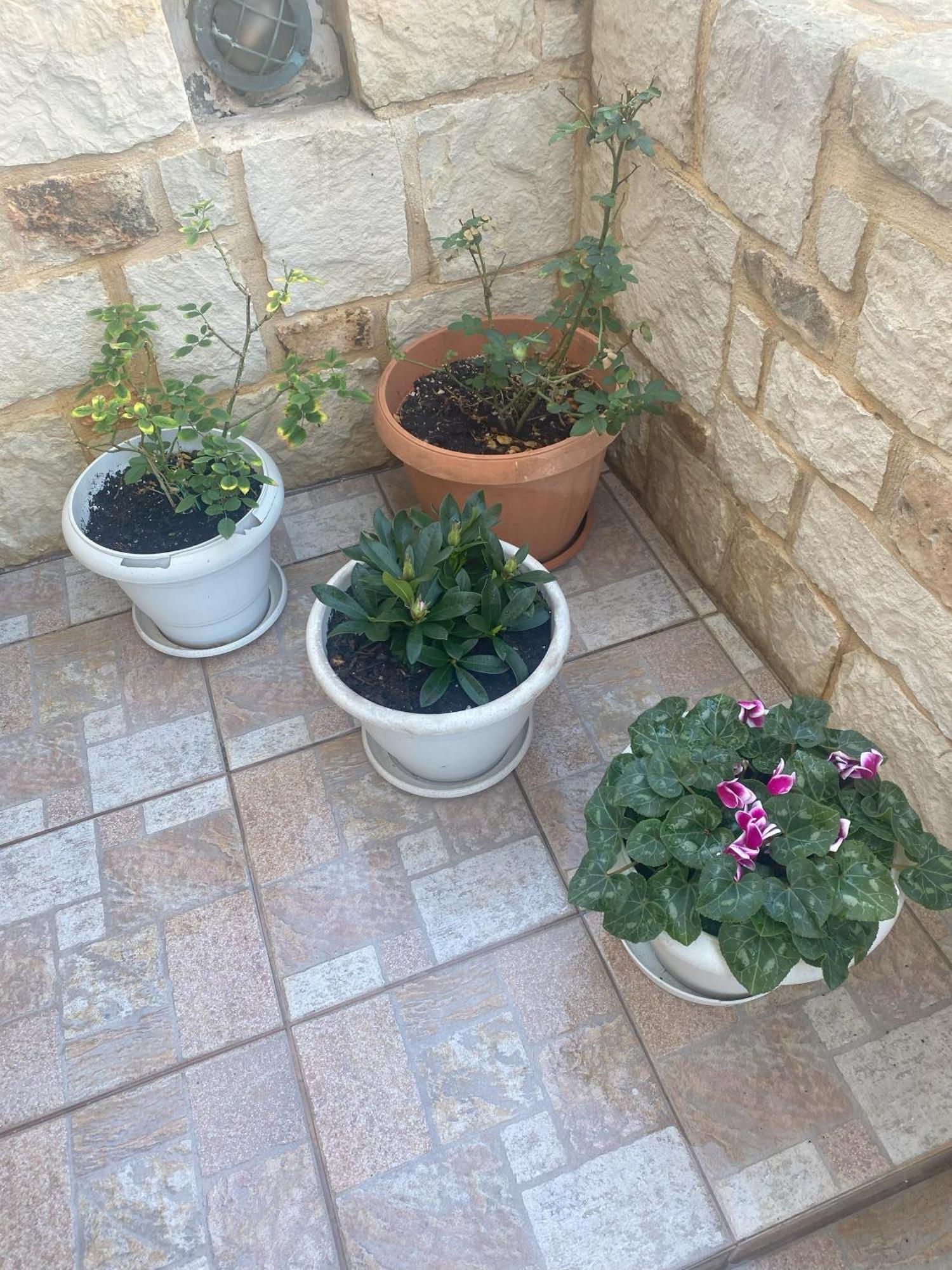 New Unique Apartment In Heraklion Kültér fotó